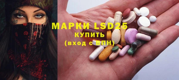 прущие грибы Алексин