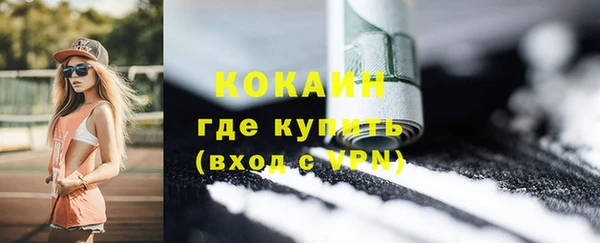 твердый Алзамай