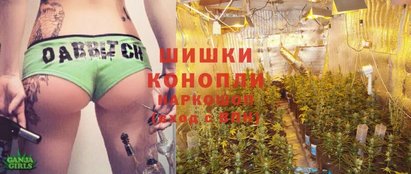 прущие грибы Алексин