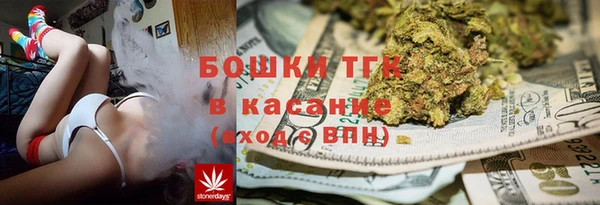 прущие грибы Алексин