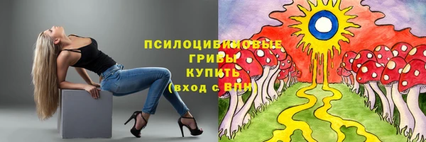 стафф Алексеевка