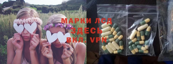 прущие грибы Алексин