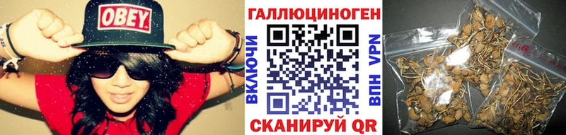 Псилоцибиновые грибы MAGIC MUSHROOMS  Данков 